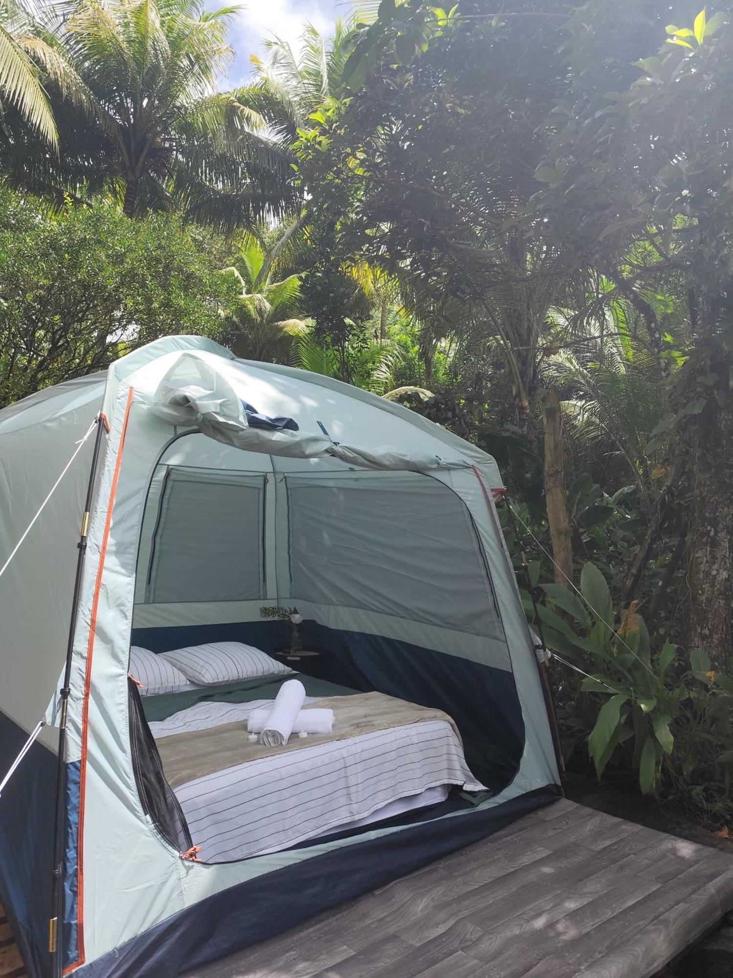 Camping A La Ferme Gros-Morne Εξωτερικό φωτογραφία